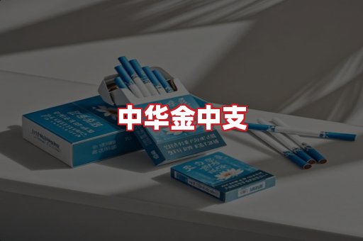 中华金中支